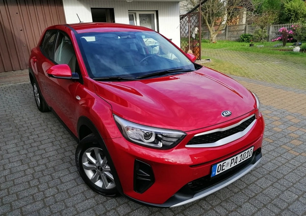 Kia Stonic cena 66700 przebieg: 50000, rok produkcji 2020 z Sławków małe 667